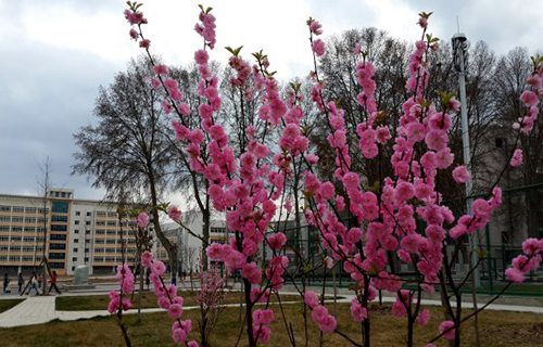 濱州高級技工學校