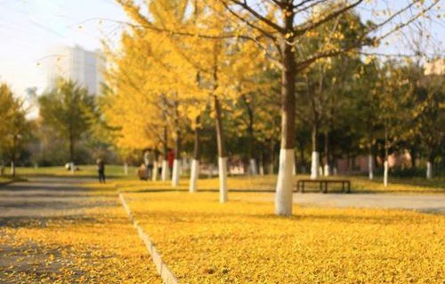 山東梁山縣技工學(xué)校