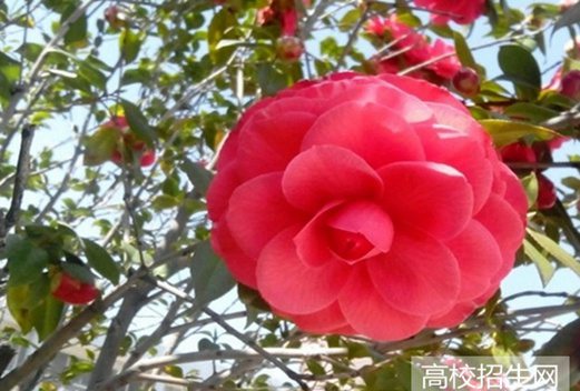 郴州職業(yè)技術(shù)學(xué)院