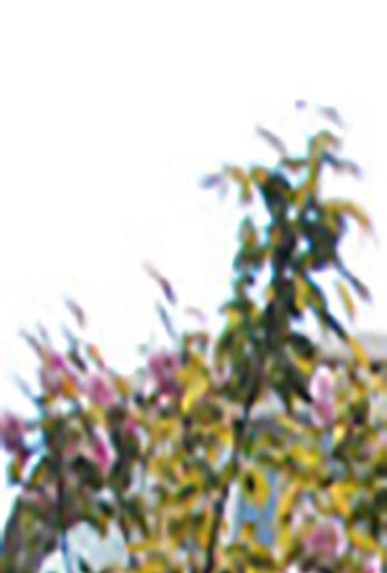 十堰醫(yī)藥衛(wèi)生學校