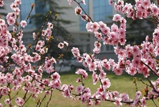 鄭州黃河護理職業(yè)學(xué)院