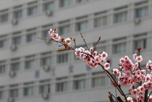 鄭州黃河護理職業(yè)學(xué)院