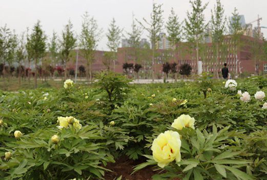 新鄉(xiāng)衛(wèi)生學(xué)校