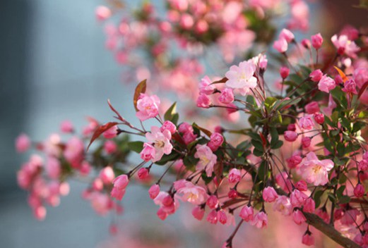 新鄉(xiāng)衛(wèi)生學(xué)校