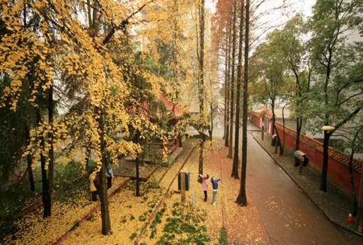 湖南幼兒師范高等專科學(xué)校