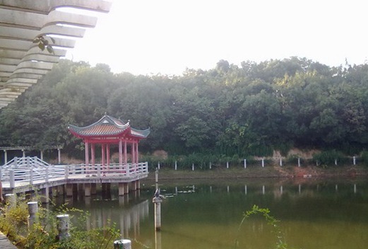 長沙民政職業(yè)技術學院