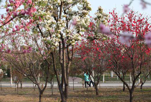 河南醫(yī)藥衛(wèi)生學(xué)校