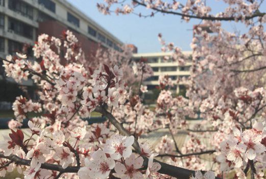 湖南文理學(xué)院成人教育