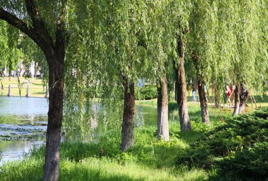 湖南文理學(xué)院成人教育