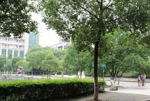 山東交通職業(yè)學(xué)院