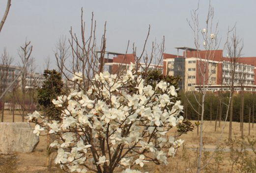 鄭州鐵路職業(yè)技術(shù)學(xué)院