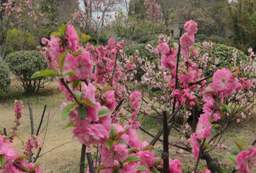 鄭州鐵路職業(yè)技術(shù)學(xué)院