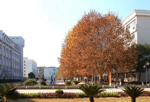 日照衛(wèi)生學校