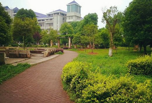 岳陽職業(yè)技術(shù)學(xué)院