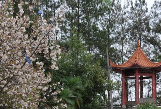 威海衛(wèi)生學(xué)校