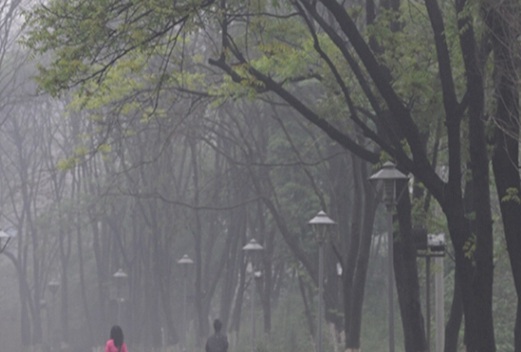 威海衛(wèi)生學(xué)校