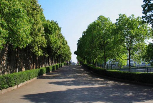 長沙衛(wèi)生職業(yè)學(xué)院