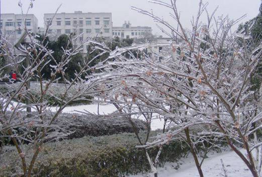 湖南環(huán)境生物職業(yè)技術(shù)學(xué)院