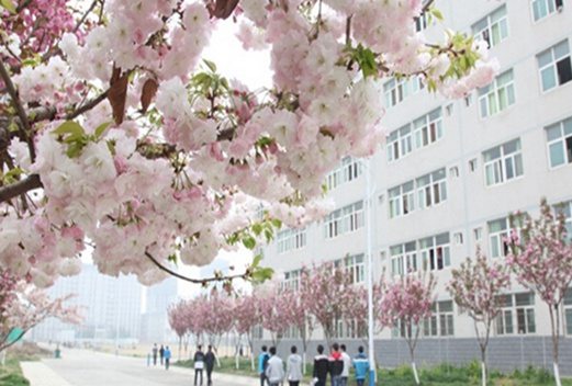 曲阜中醫(yī)藥學(xué)校