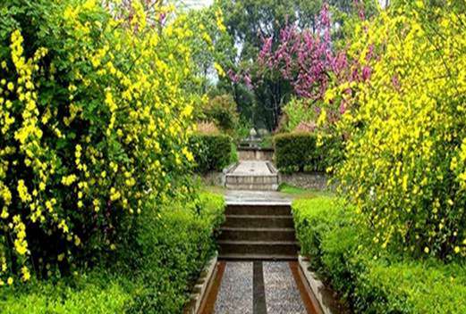 曲阜中醫(yī)藥學(xué)校