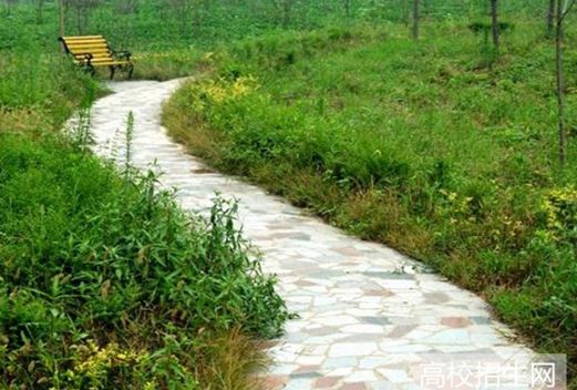 商丘職業(yè)技術(shù)學(xué)院