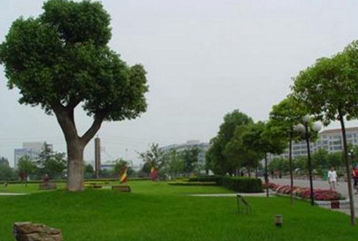 湖北職業(yè)技術學院