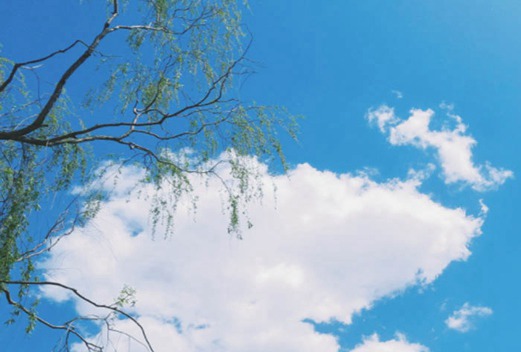 荊州職業(yè)技術(shù)學(xué)院