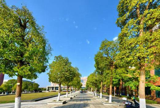 湖南交通職業(yè)技術(shù)學(xué)院