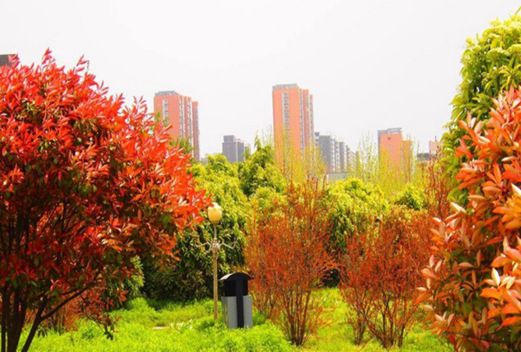 孝感高級技工學校