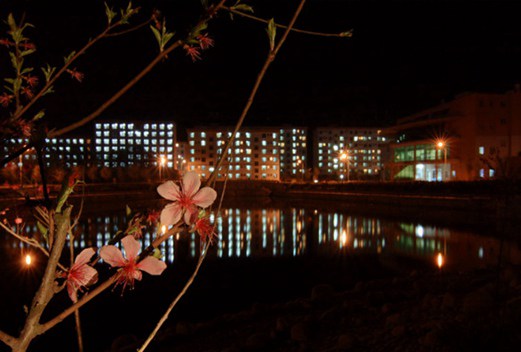 咸寧職業(yè)技術(shù)學(xué)院