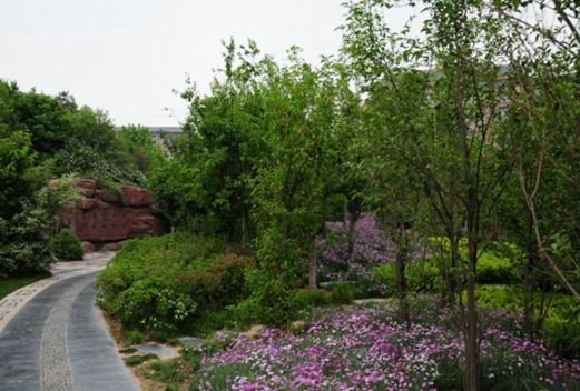 濮陽市油田職業(yè)中等專業(yè)學校