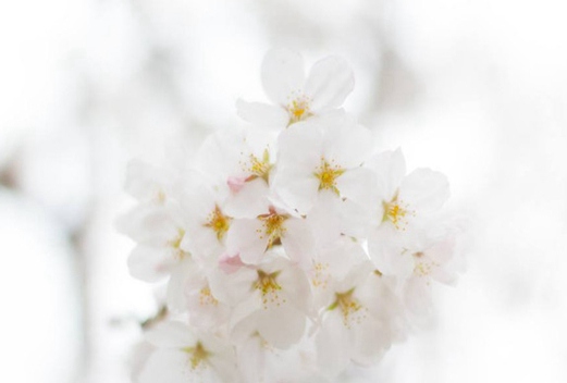 湖南工業(yè)科技職工大學(xué)中職部