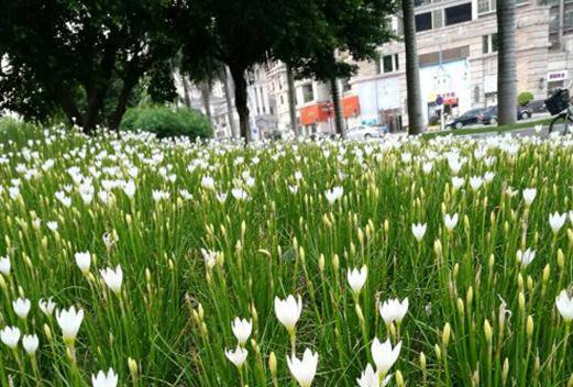 湖南工業(yè)科技職工大學(xué)中職部