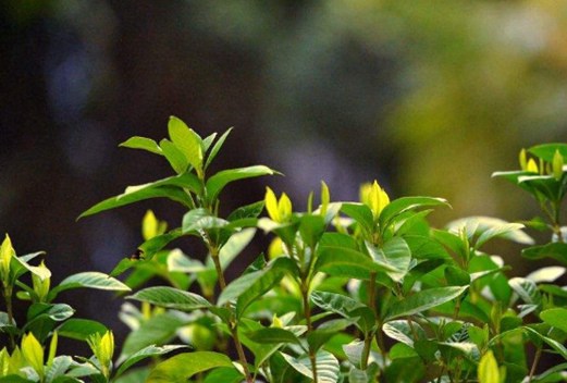 湖南工業(yè)科技職工大學(xué)中職部