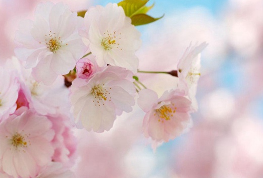 湖南工業(yè)科技職工大學(xué)中職部