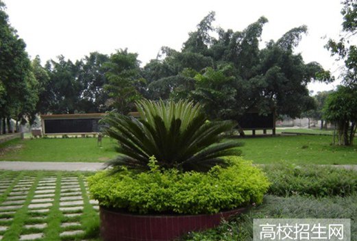 河南職業(yè)技術(shù)學(xué)院