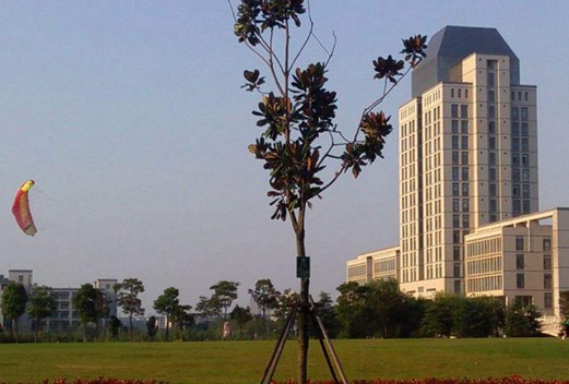 武漢工貿(mào)職業(yè)學(xué)院