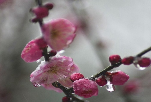 武漢工貿(mào)職業(yè)學(xué)院