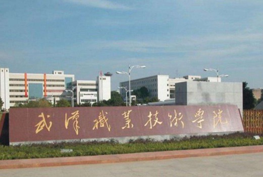 武漢職業(yè)技術學院