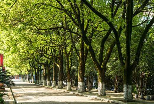 湖北生態(tài)工程職業(yè)技術(shù)學(xué)院