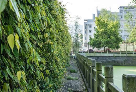 湖北生態(tài)工程職業(yè)技術(shù)學(xué)院