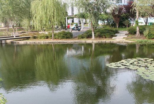 武漢工程職業(yè)技術(shù)學(xué)院