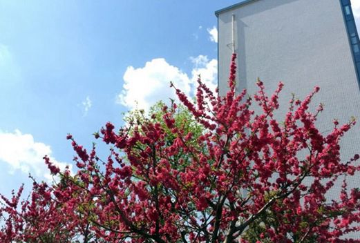 襄陽職業(yè)技術(shù)學(xué)院