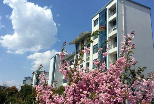 襄陽職業(yè)技術(shù)學(xué)院