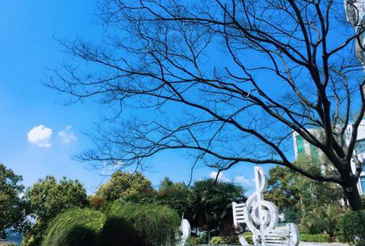 襄陽職業(yè)技術(shù)學(xué)院