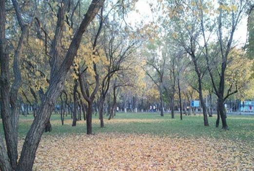 東營職業(yè)學(xué)院