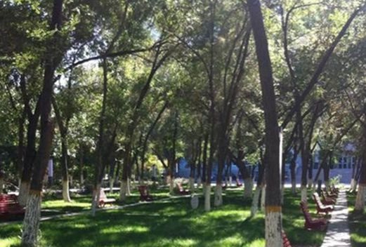 東營職業(yè)學(xué)院