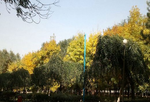 東營職業(yè)學(xué)院