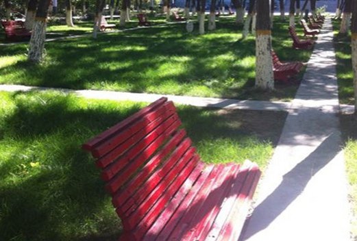 東營職業(yè)學(xué)院