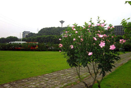 湖北工程職業(yè)學(xué)院